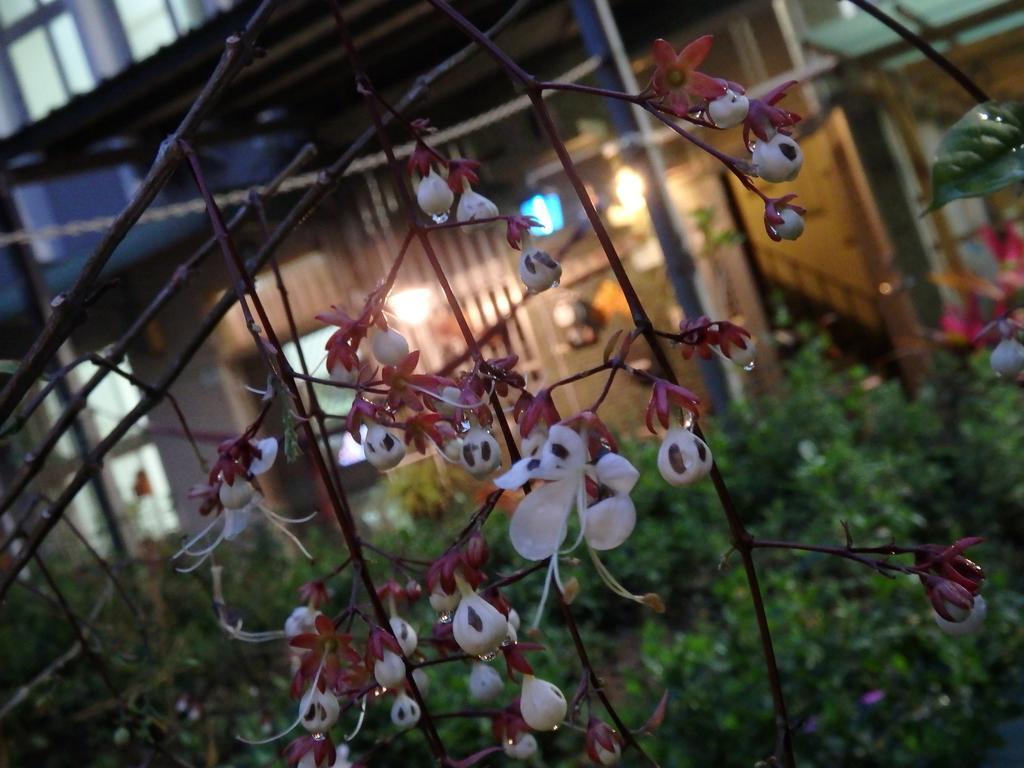 Tainan Guest House Hamuya Luaran gambar